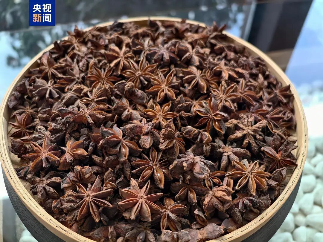 央视新闻报道 | 开局之年看中国，广西玉林香料+数智化，闻香识产业